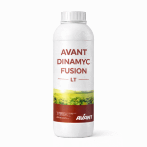 AVANT DINAMYC FUSION LT
