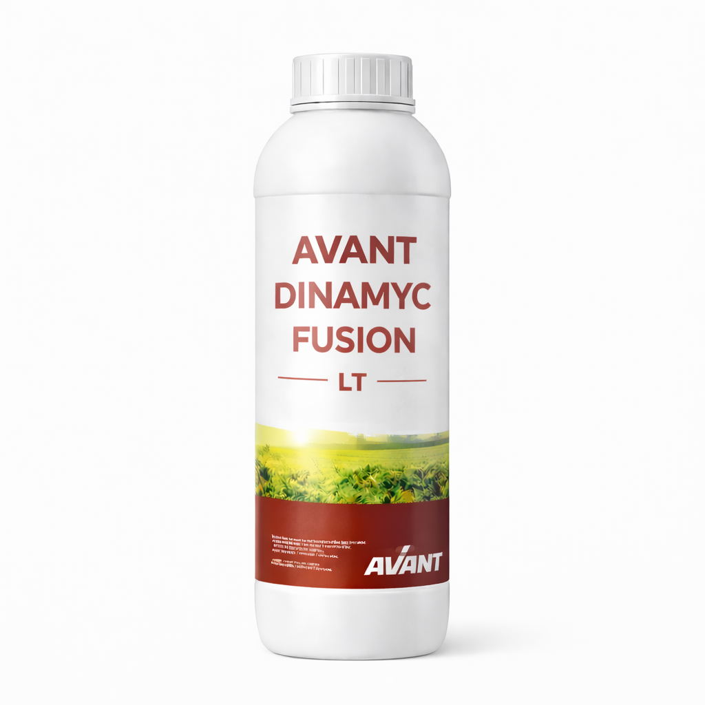 AVANT DINAMYC FUSION LT