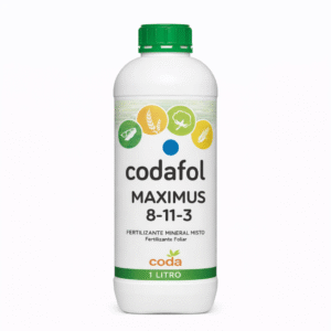 CODAFOL MAXIMUS 8-11-3