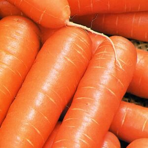 CENOURA NANTES MILENA